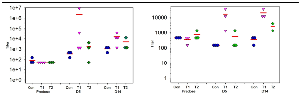 anti-KLH IgM (left) and IgG (right) responses measured on days 5 and day 14 after immunization of KLH in rats. Con: vehicle-treated group, T1: KLH treated group, T2: KLH+CPA treated group