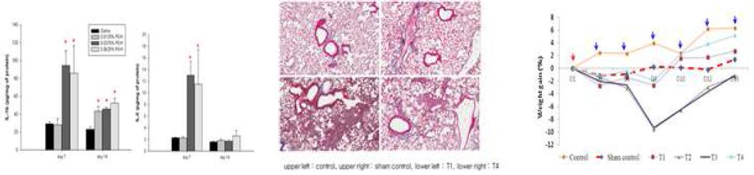 기존 화상점적기를 이용한 타겟물질별 시험법 확립에 대한 cytokine, 조직병리사진, body weight 변화(좌부터)