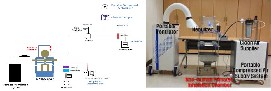 The Developing New Type Inhalation Exposure System for Non-human Primates