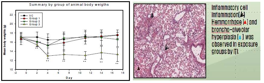 Body weight and histopathology