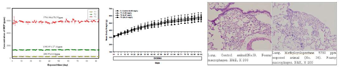 Concentration monitoring, body weights change & histopathological response