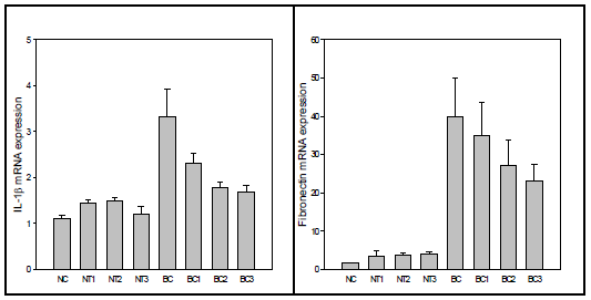 mRNA expression of IL-1β and fibronectin