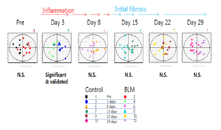 Serum NMR analysis