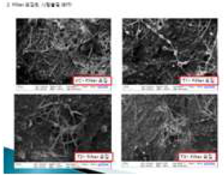 시험물질 SEM 분석사진
