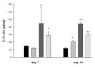 IL-1β measurement