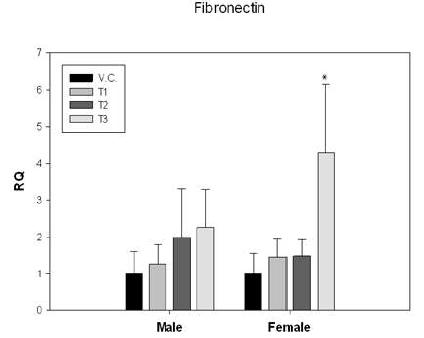 Results of Fibronection lungs Gene Expression