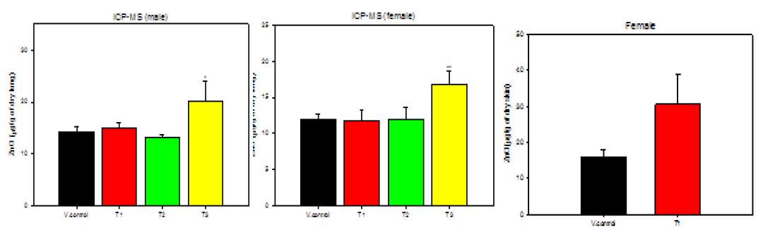 산화아연 나노물질의 90일 반복흡입노출 후 노출군별 폐 조직에서의 ICP-MS를 활용한 정량분석 결과(좌측부터) 및 급성경피투여 후 피부조직에서의 정량석분석결과(우측)