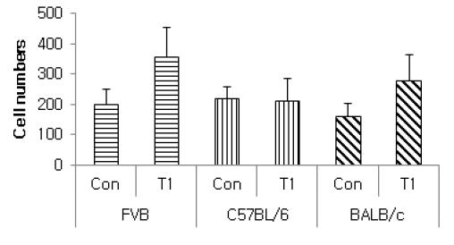 Total cell count (BALF)