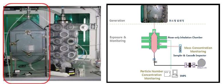 연소물 흡입노출 발생장치에 실제 개발 시제품에 대한 사진(좌) 및 흡입독성평가시스템과의 호환성에 대한 모식도(우)