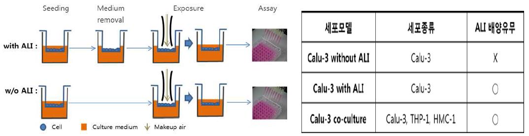 ALI 배양유무에 따른 배양법 모식도(왼쪽), 각 모델별 세포종류 및 배양조건(오른쪽)