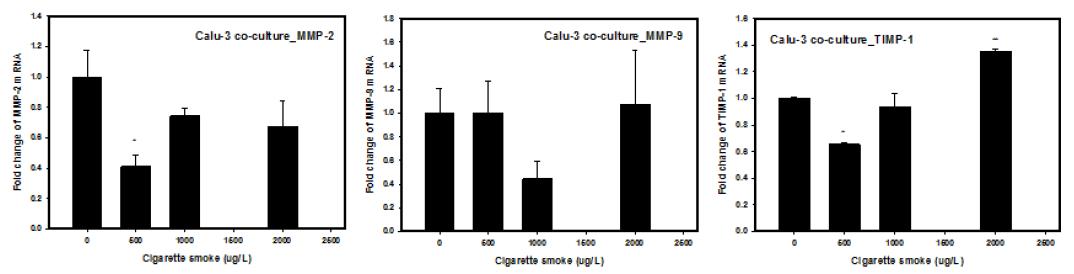 담배노출농도에 따른 emphysema 관련 지표의 변화(왼쪽부터 MMP-2, MMP-9, TIMP-1)