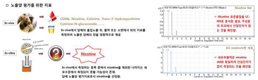 담배 노출양 평가를 위한 지표선정(왼쪽), LC-MS를 이용한 nicotine 측정(오른쪽)