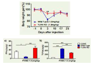 체중의 변화 및 Fibrotic cytokine의 변화