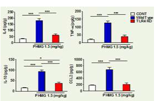 Cytokines과 Chemokines의 변화