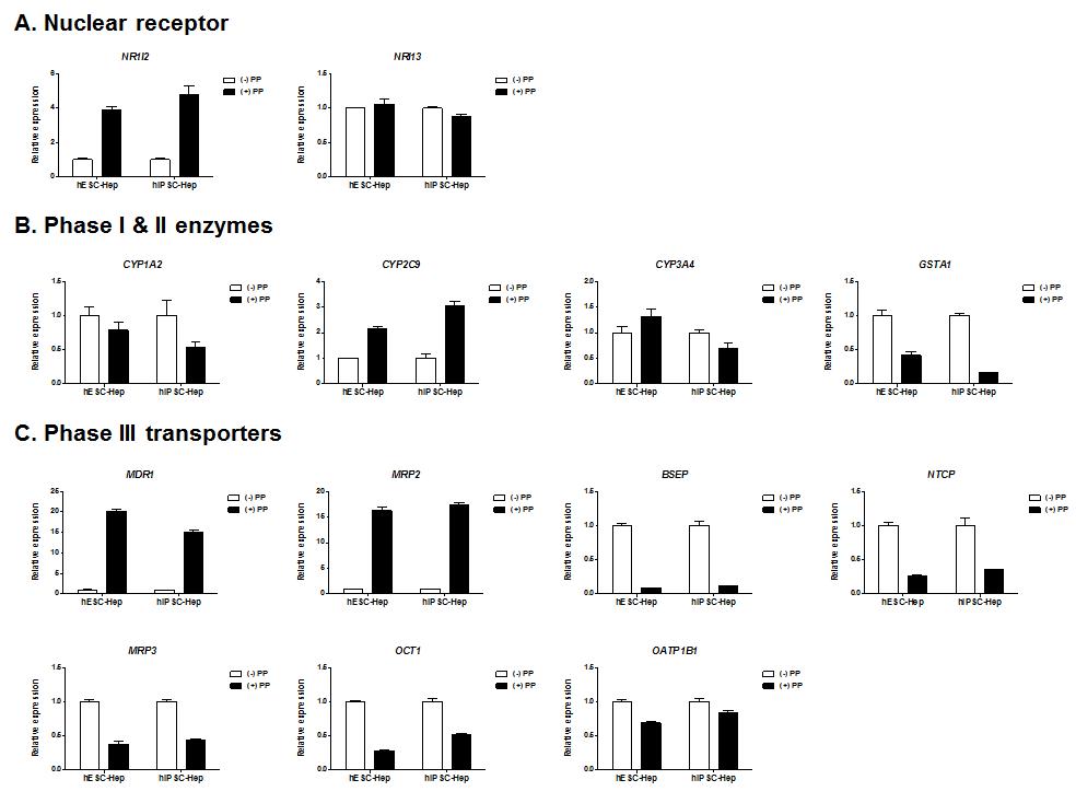 PP에 의한 인간 전분화능 줄기세포 유래 간세포의 약물대사 관련 유전자의 발현 변화 분석