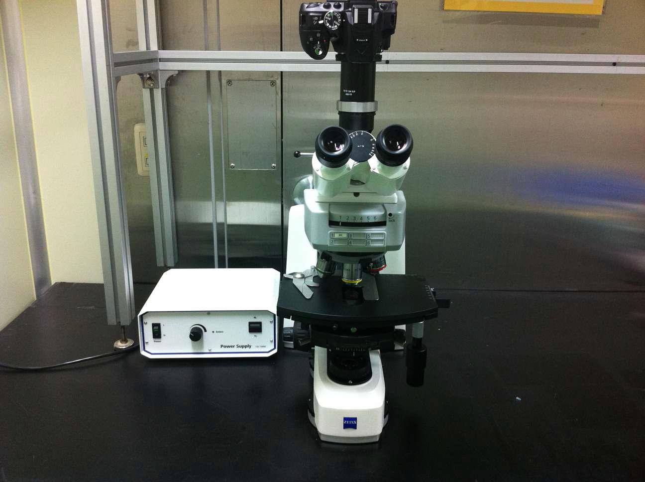 정립현미경 (Upright Microscope) – Zeiss Axioscope A1