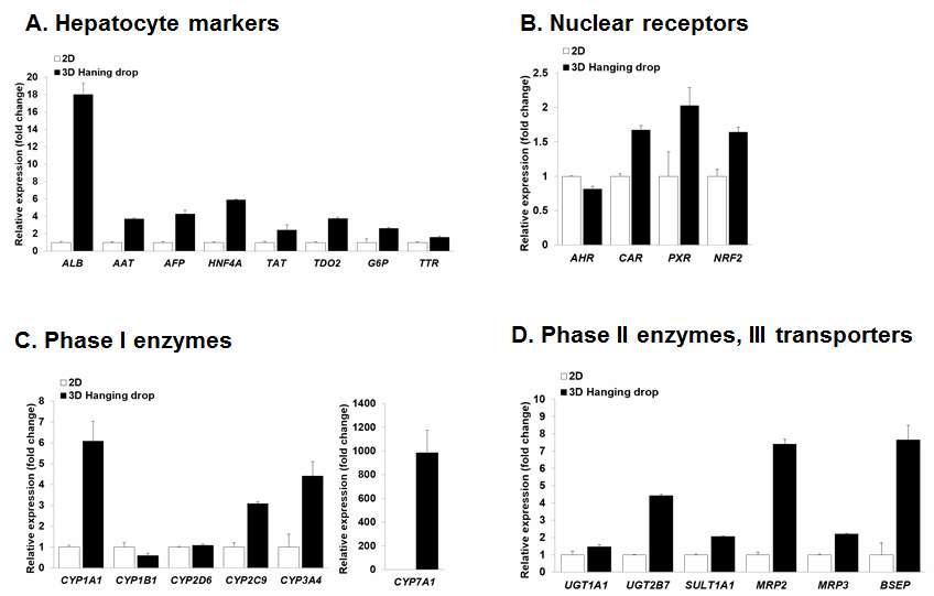 Hanging drop plate를 통해 생산된 3차원 줄기세포 유래 간세포의 약물대사효소 유전자의 발현 분석