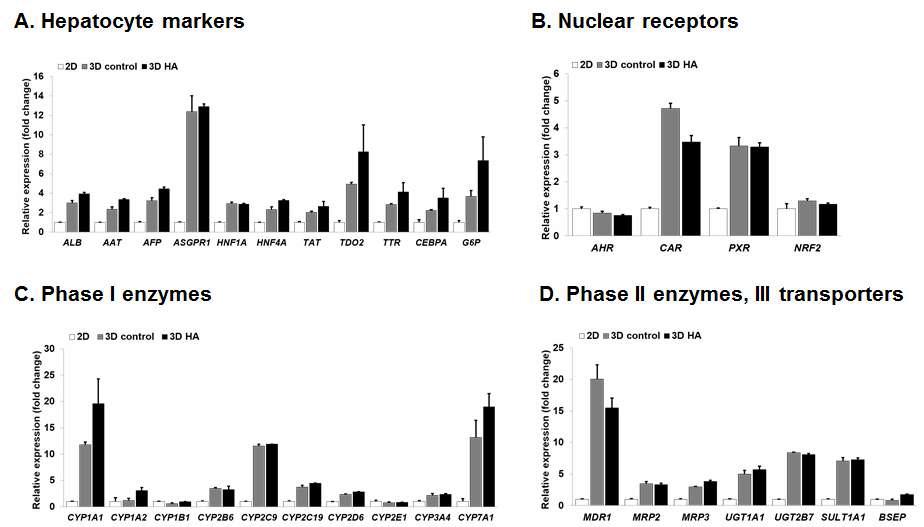 Microcentrifuge tube를 통해 생산된 3차원 줄기세포 유래 간세포의 약물대사효소 유전자의 발현 분석
