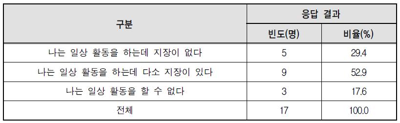 일상활동 정도