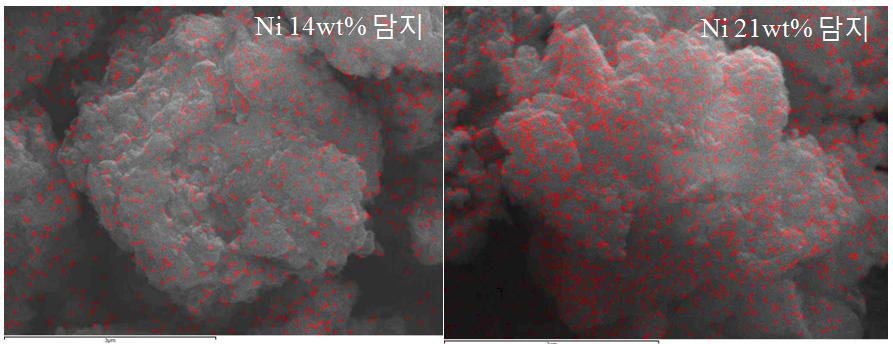 이온교환법으로 Ni이 담지된 저등급 석탄의 SEM사진