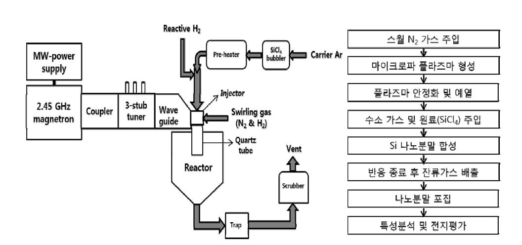 마이크로파 플라즈마 시스템 및 공정흐름도