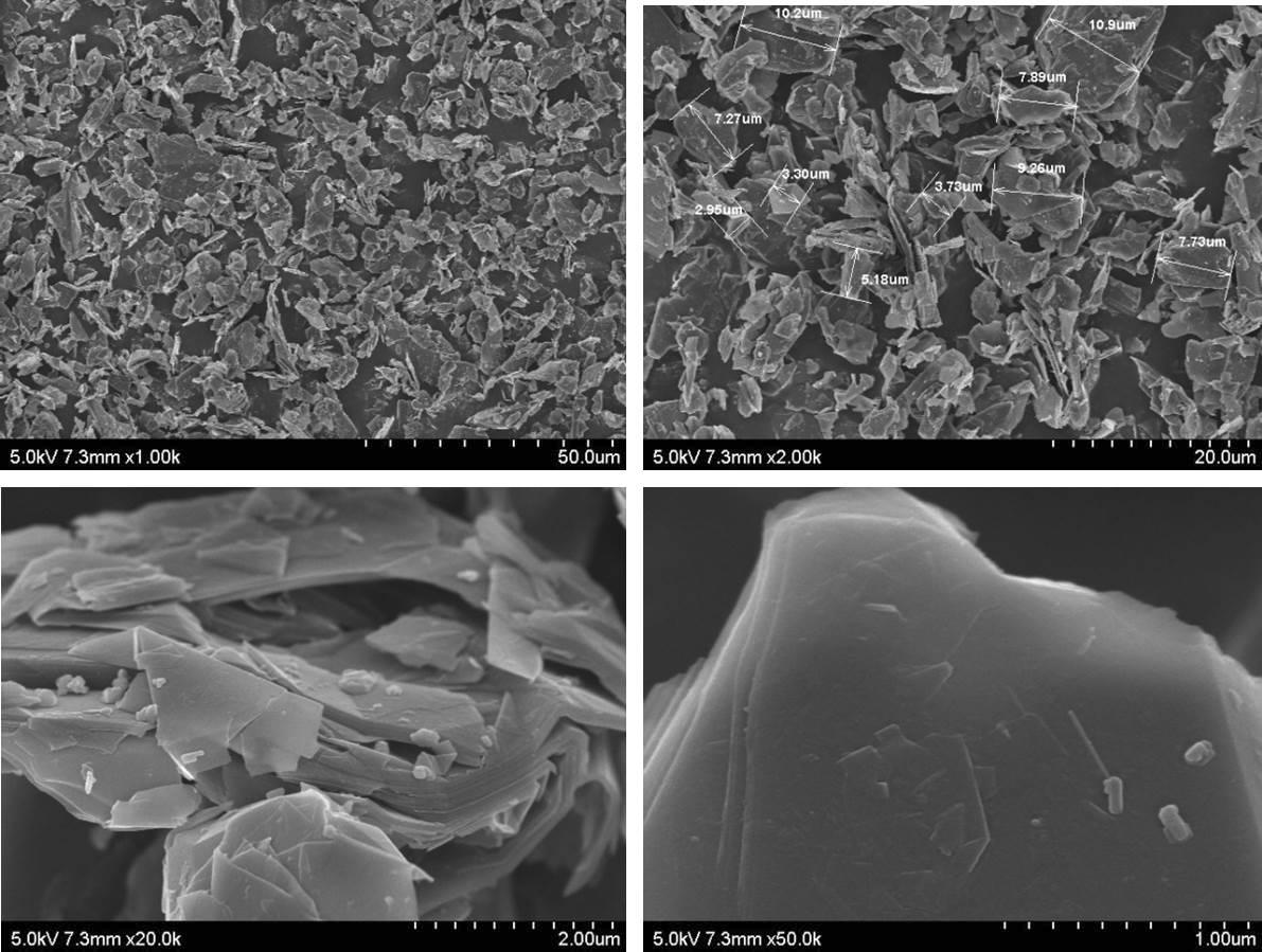 Graphite filler SEM 관찰 사진