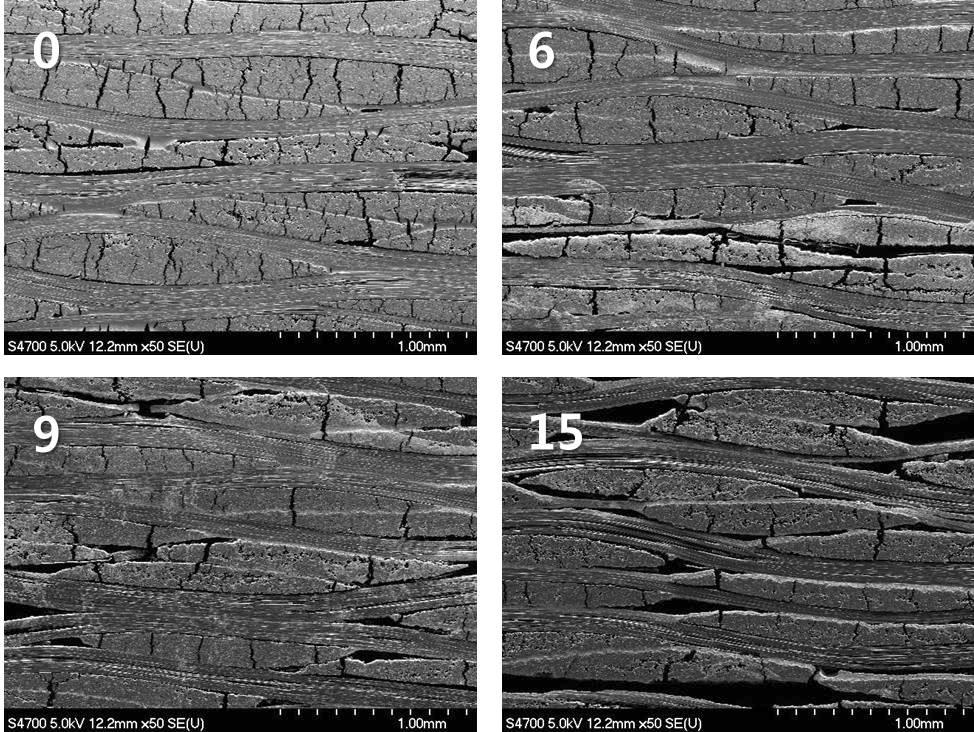 각 Filler 조건별 탄화 후 SEM 관찰 결과