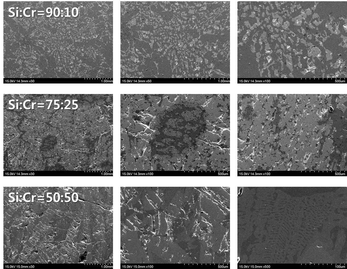 Si-Cr 합금 SEM 관찰 결과