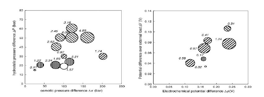 현존 SGP기술수준 분석(PRO vs. RED): Current Power Densities