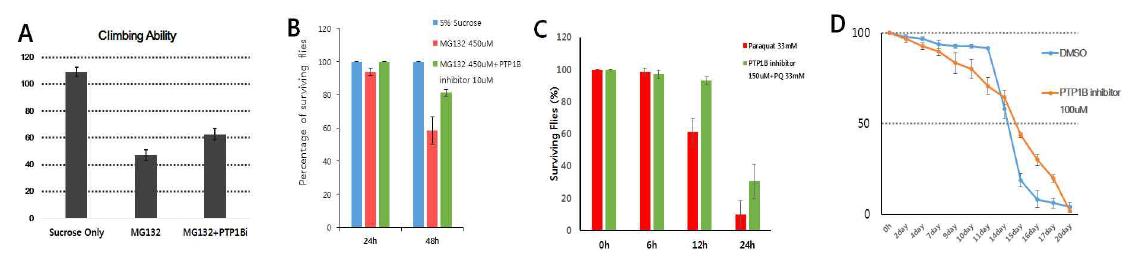 PTP1B inhibitor의 효과