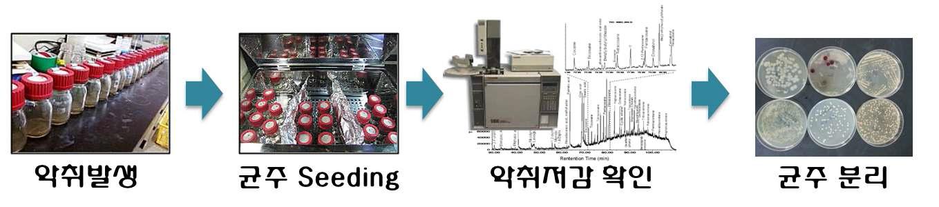 악취 저감 미생물의 탐색 및 분리방법