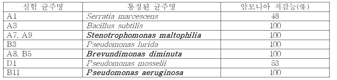 암모니아 저감능이 있는 분리 균주