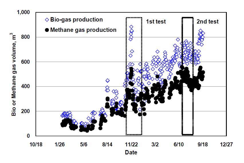 소화조 운전기간동안의 바이오가스 및 메탄가스 생산량 비교