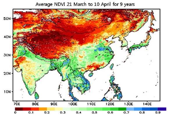 NDVI 식생 분포