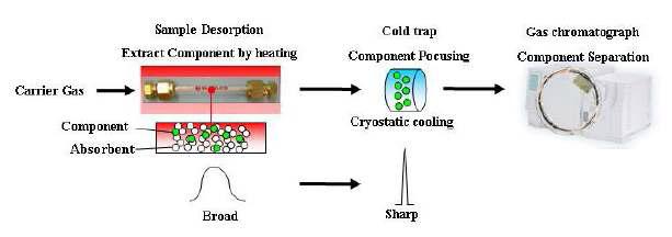 TD-GC/MS 분석 개략도