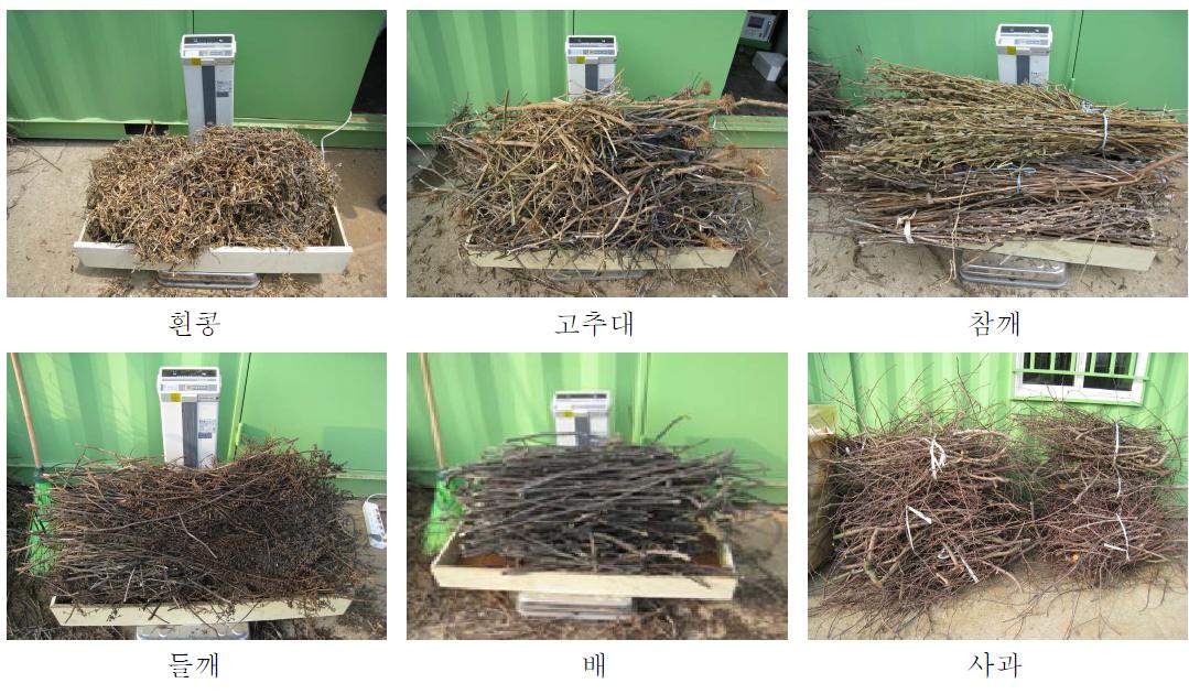 실험 대상 농업 잔재물 예