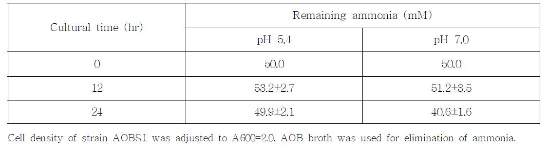 산성(pH 5.4)와 중성(pH 7.0)상태에서 분리된 AOBS1균주에 의한 암모니아제거 능력.