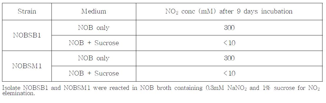 분리된 NOB균주에 의한 NO2제거에 대한 당의 효과.