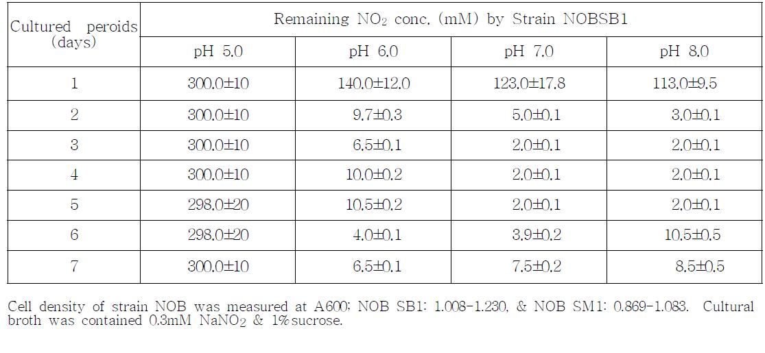 NOBSB1 균주의 NO2제거 능력에 대한 pH의 효과