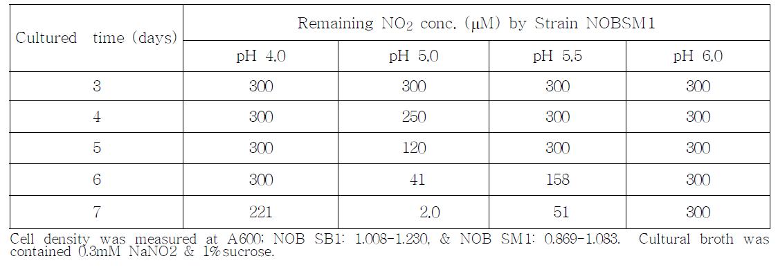 NOBSM1 균주의 NO2제거 능력에 대한 pH의 효과