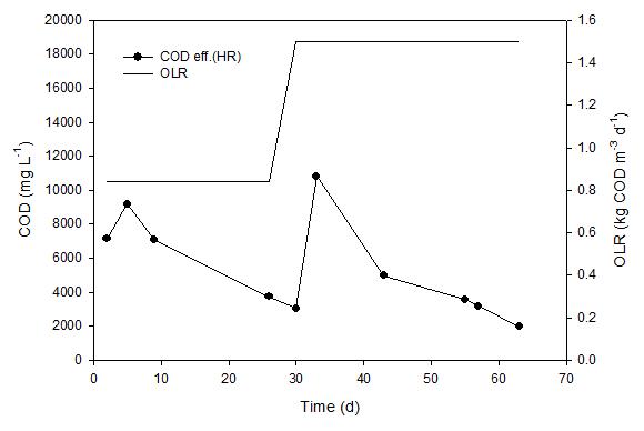 전처리 미세조류 HR의 혐기성 소화조 COD 거동