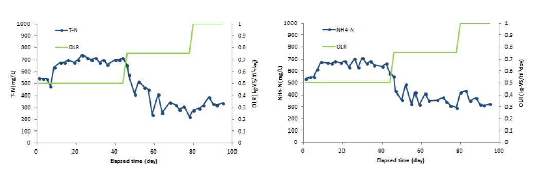폐활성슬러지 연속 혐기성소화조 유출 T-N 및 NH3-N 변화