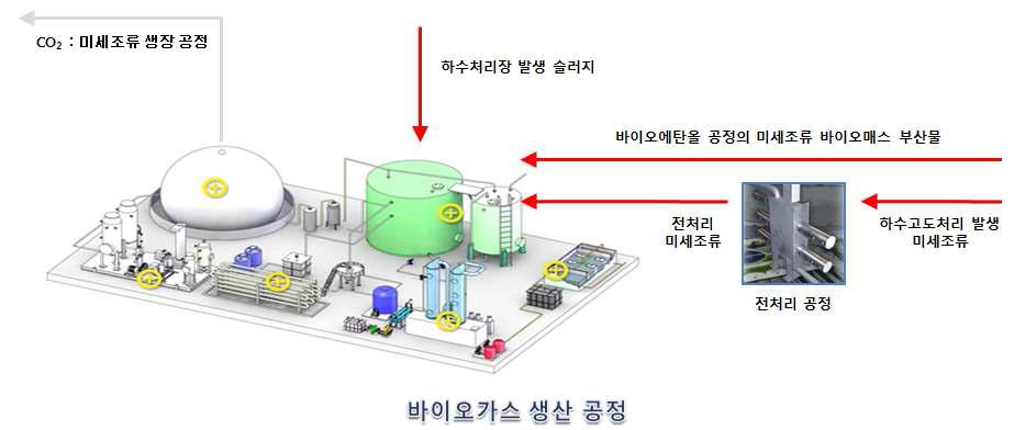 미세조류와 하수처리장 발생슬러지의 통합소화 공정 모식도