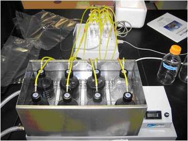 BMP test를 이용한 최적 biogas 최적 생산 인자 탐색