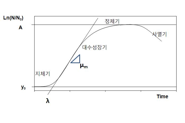 회분 성장곡선