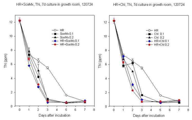 HR과 고농도 미세조류(SceMx 또는 Chl) 혼합배양시의 TN의 경시적 변화