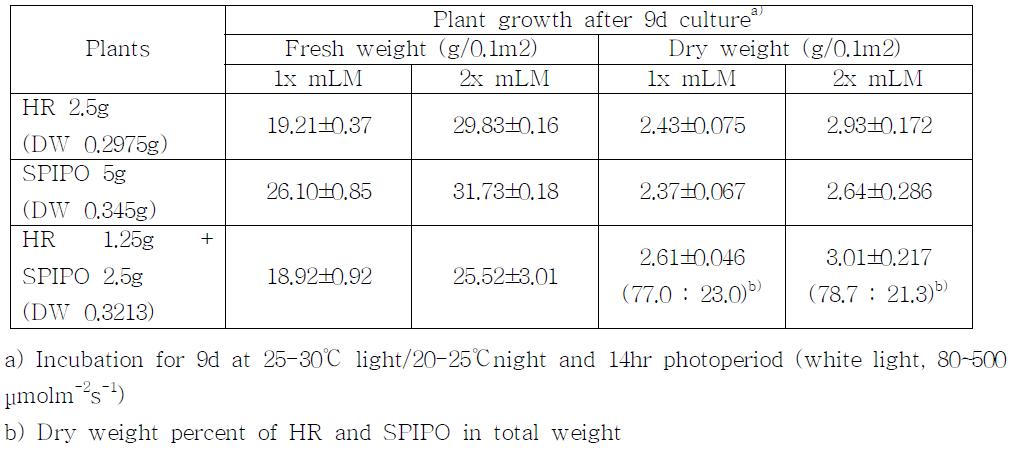 mLM 배지(초기 pH 7.14)에서 HR+SPIPO 혼합배양시의 생장량