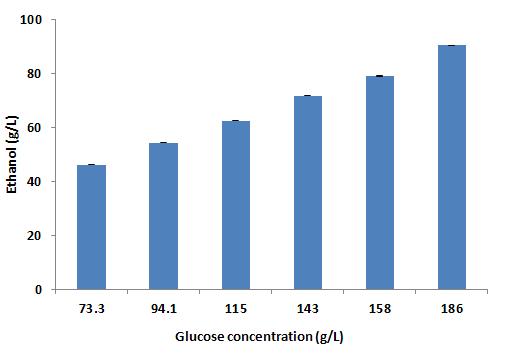 Glucose 농도별 S. cerevisiae KCTC7107의 bioethanol 생산성