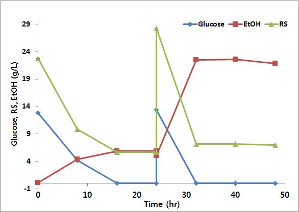Fermenter수준에서의 HR 당용액 2회 공급에 따른 ethanol 생성