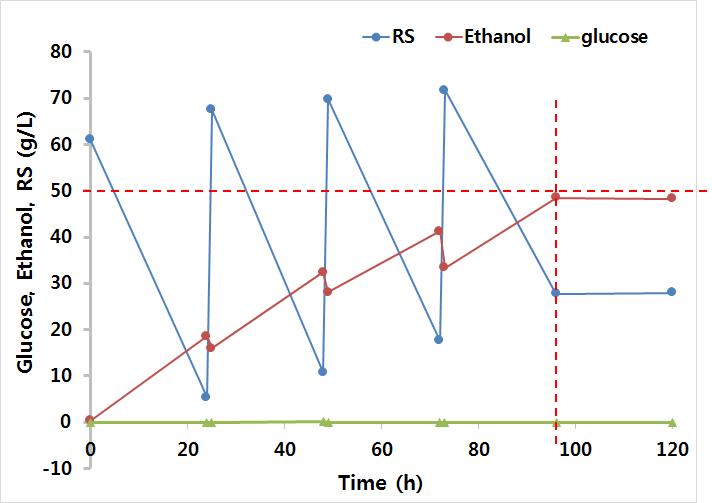Fermenter수준에서의 고농도 HR 당용액 4회 공급에 따른 ethaonl 생성